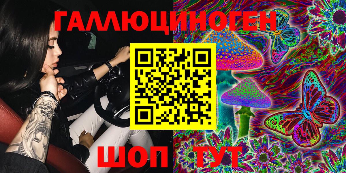 Благовещенск  где можно купить   Вход с VPN  Псилоцибиновые грибы Cubensis 
