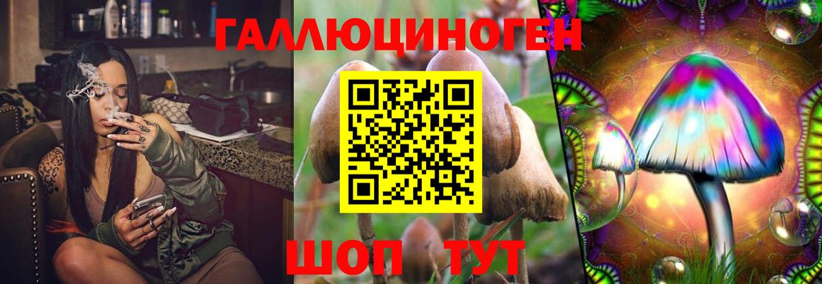 Псилоцибиновые грибы GOLDEN TEACHER Благовещенск
